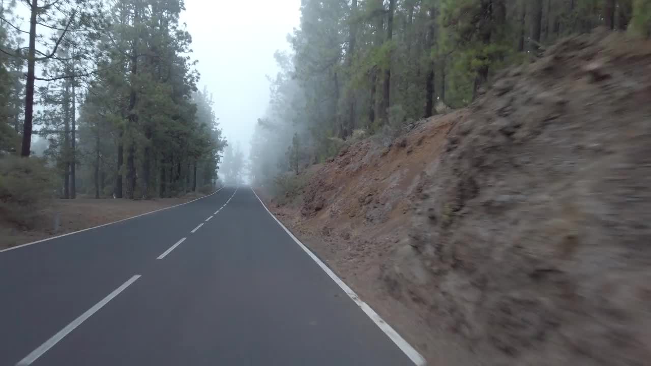 行驶在雾蒙蒙的道路上，穿越森林景观视频素材