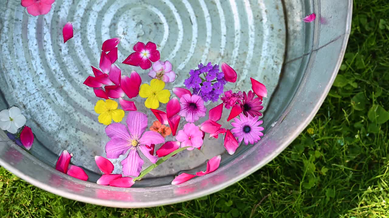 花瓣漂浮在水中视频下载