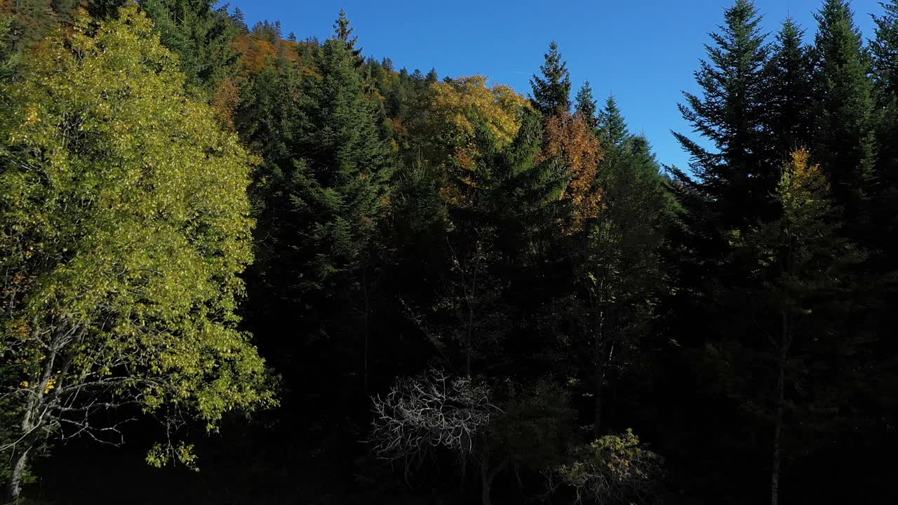 美丽的无人机飞越高山森林和雄伟的山景。视频素材