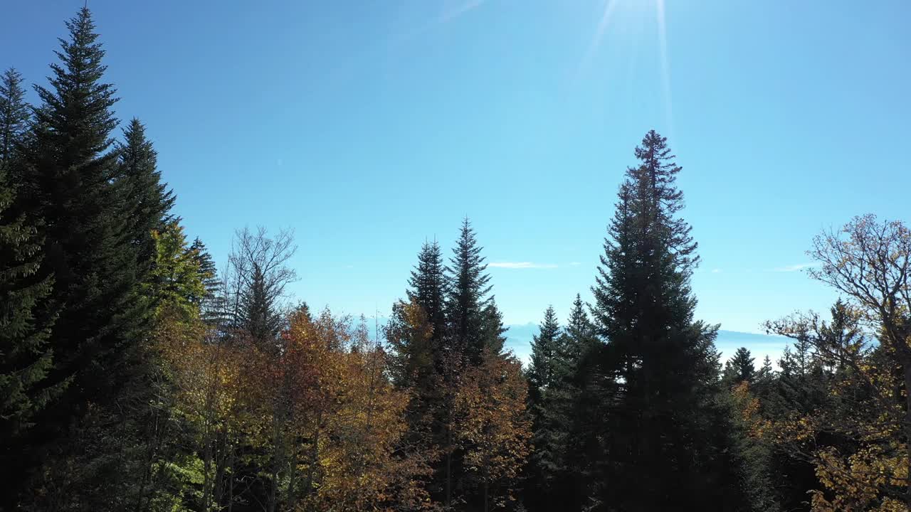 美丽的无人机飞越高山森林和雄伟的山景。视频素材