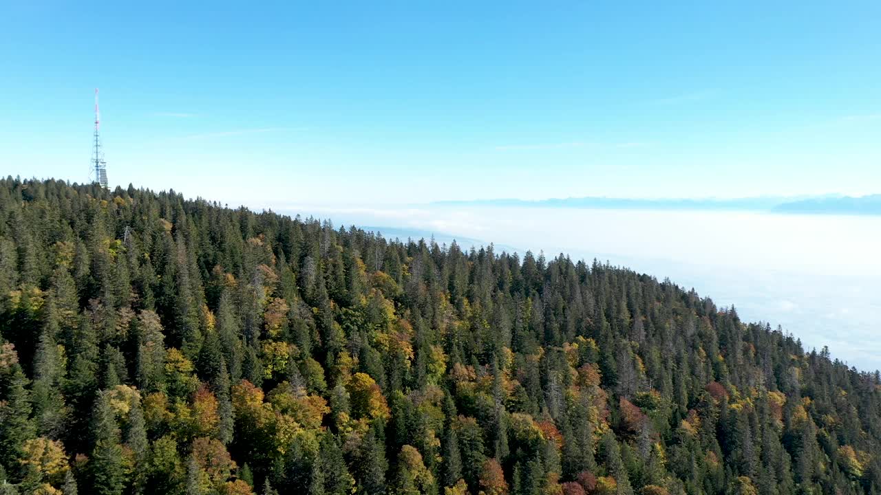 美丽的无人机飞越高山森林和雄伟的山景。视频素材