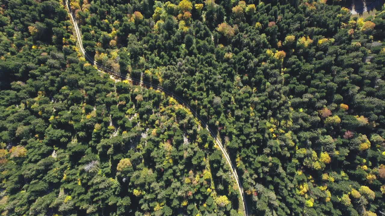 俯瞰高山森林的无人机视野。视频素材