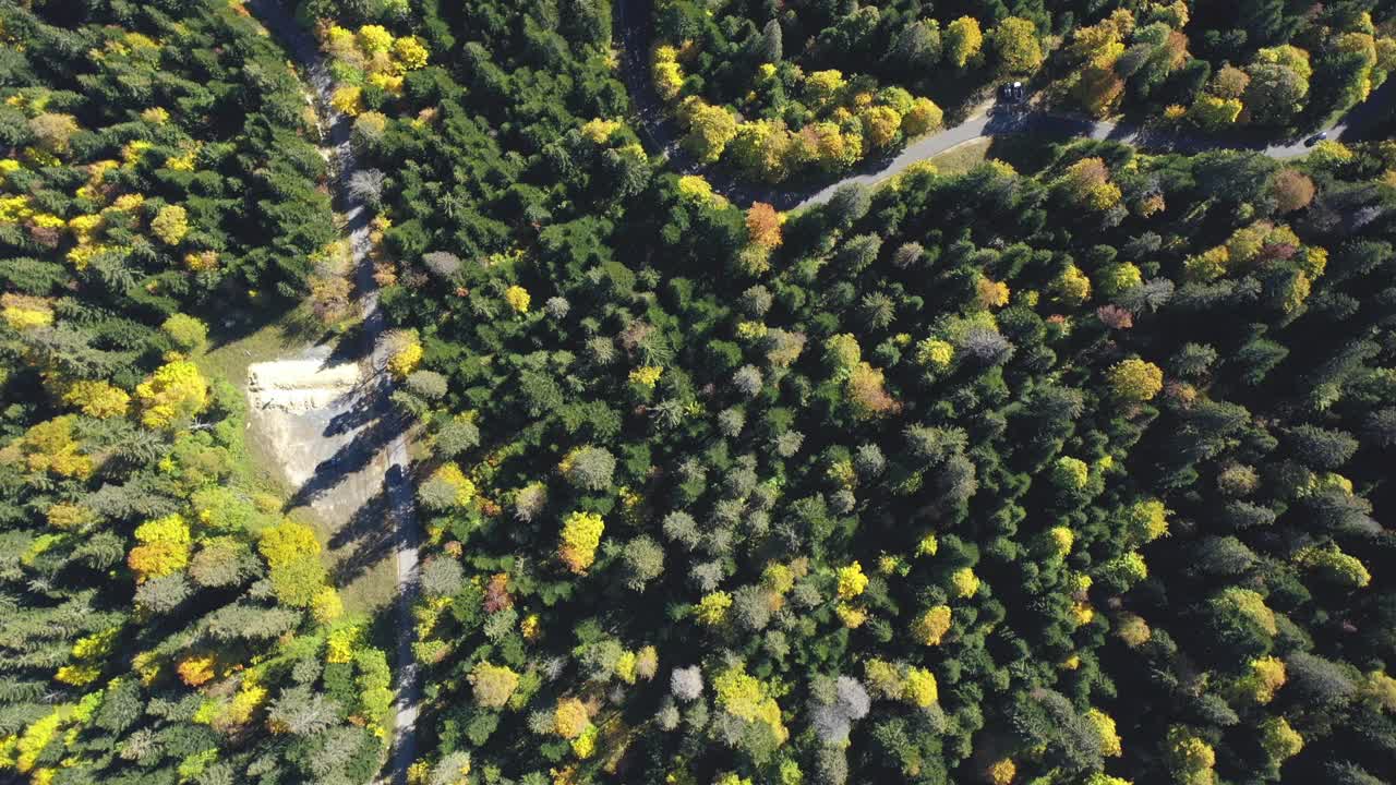 俯瞰高山森林的无人机视野。视频素材