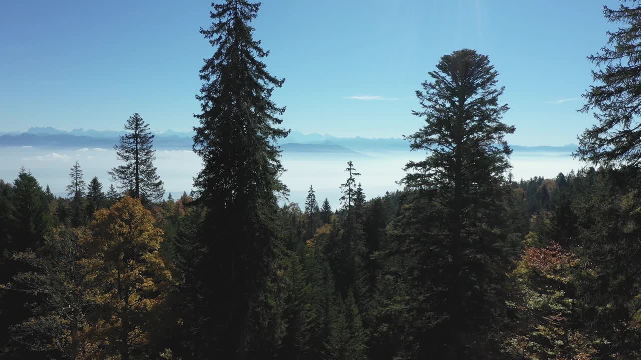 美丽的无人机飞越高山森林和雄伟的山景。视频素材