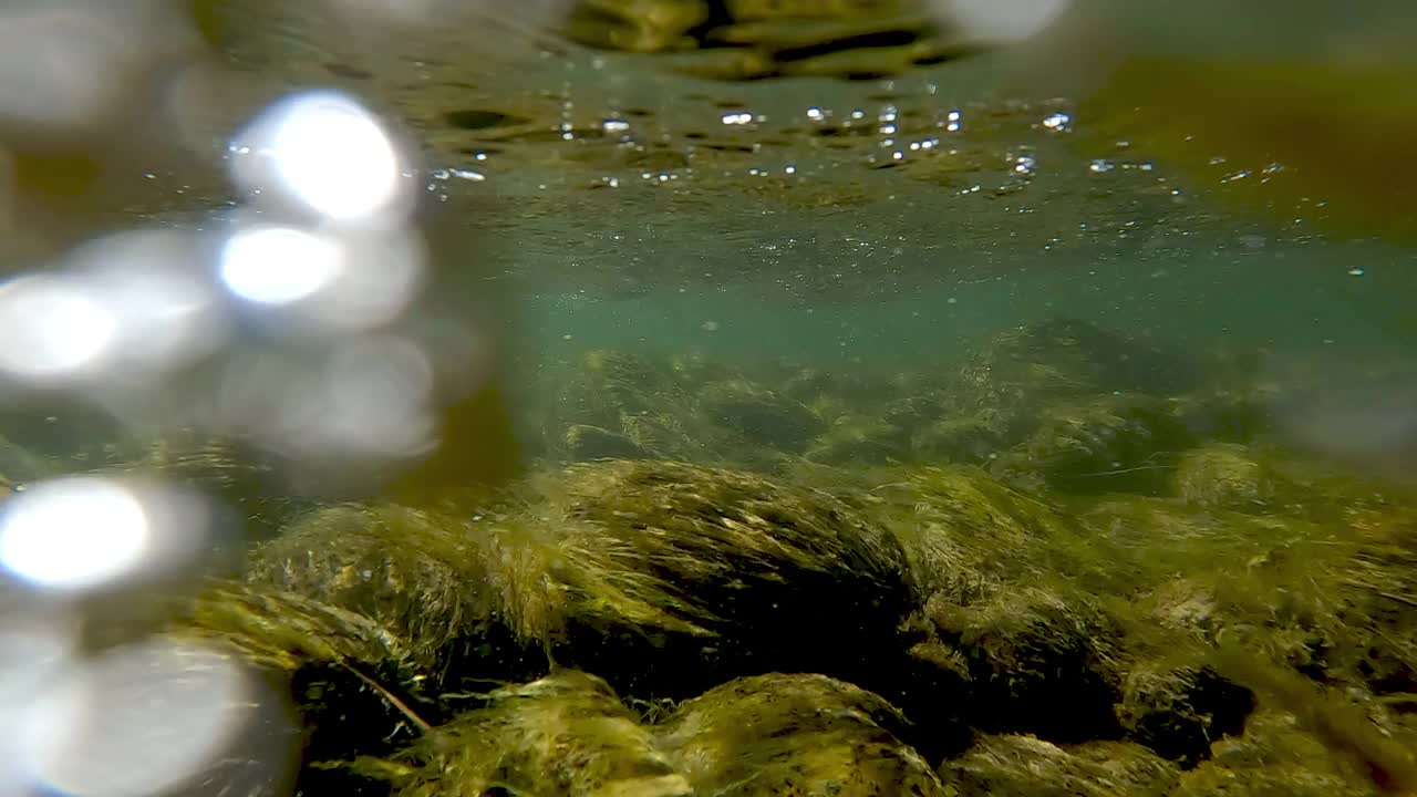 水下景色上升到上面看到人们漂浮在蛇河的木筏上视频素材