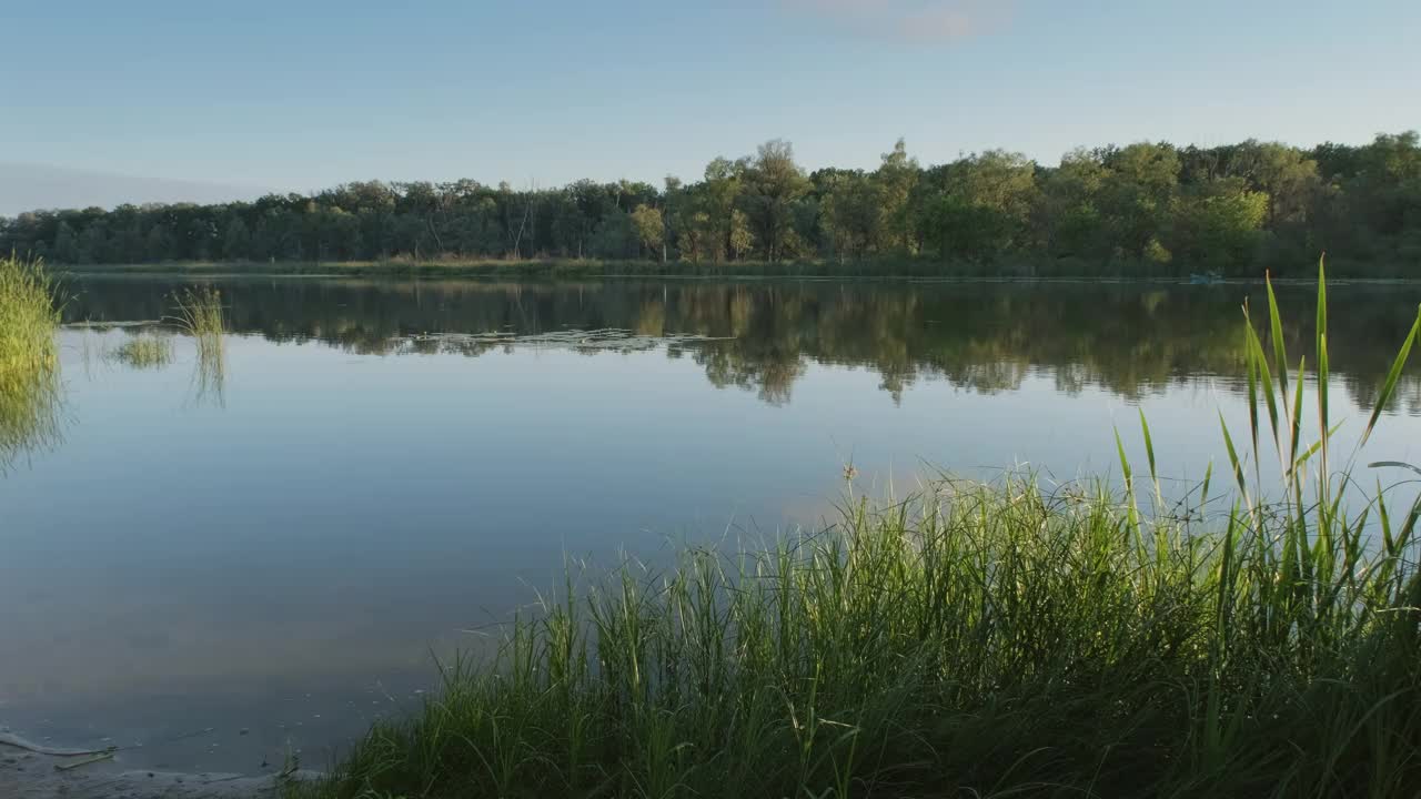 夏季森林湖景观视频素材