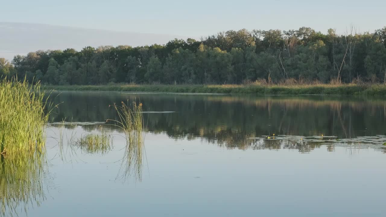 夏季森林湖景观视频素材