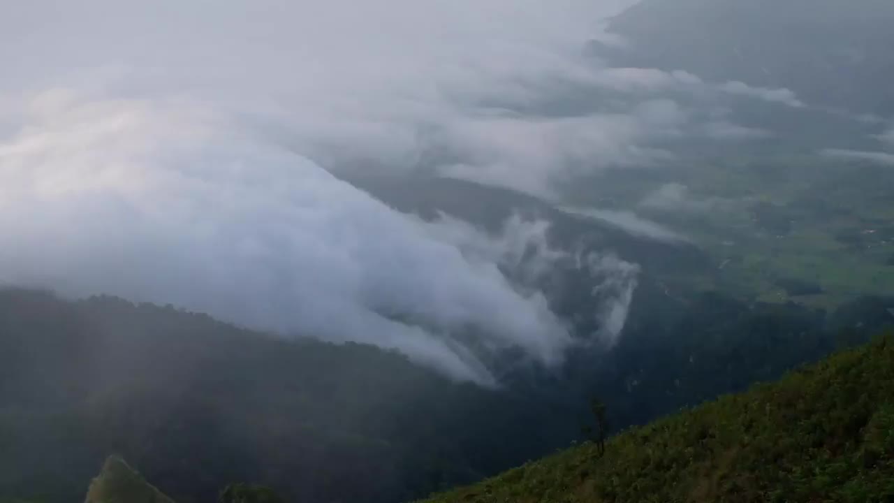 慢动作景观景观的绿色，雨林，山脉和海雾视频素材