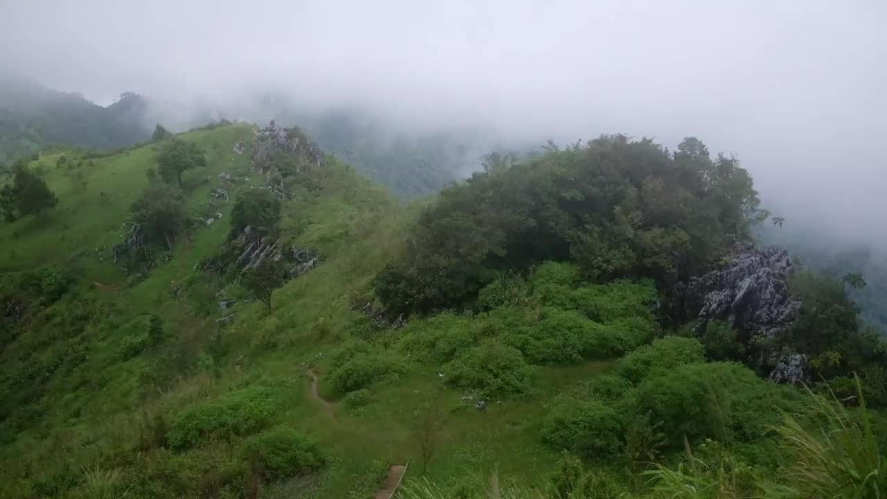 慢动作景观景观的绿色雨林山在雾天视频素材