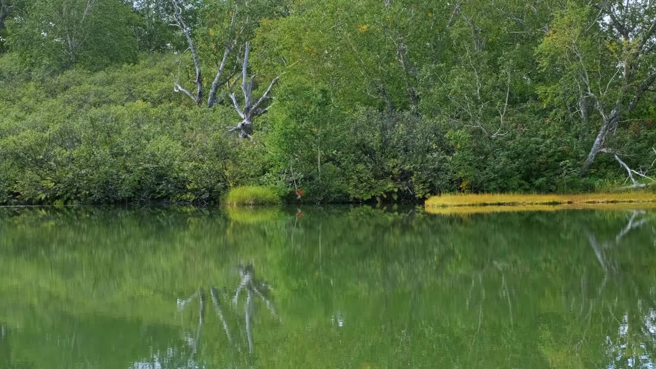 小北湖上的景观视频素材