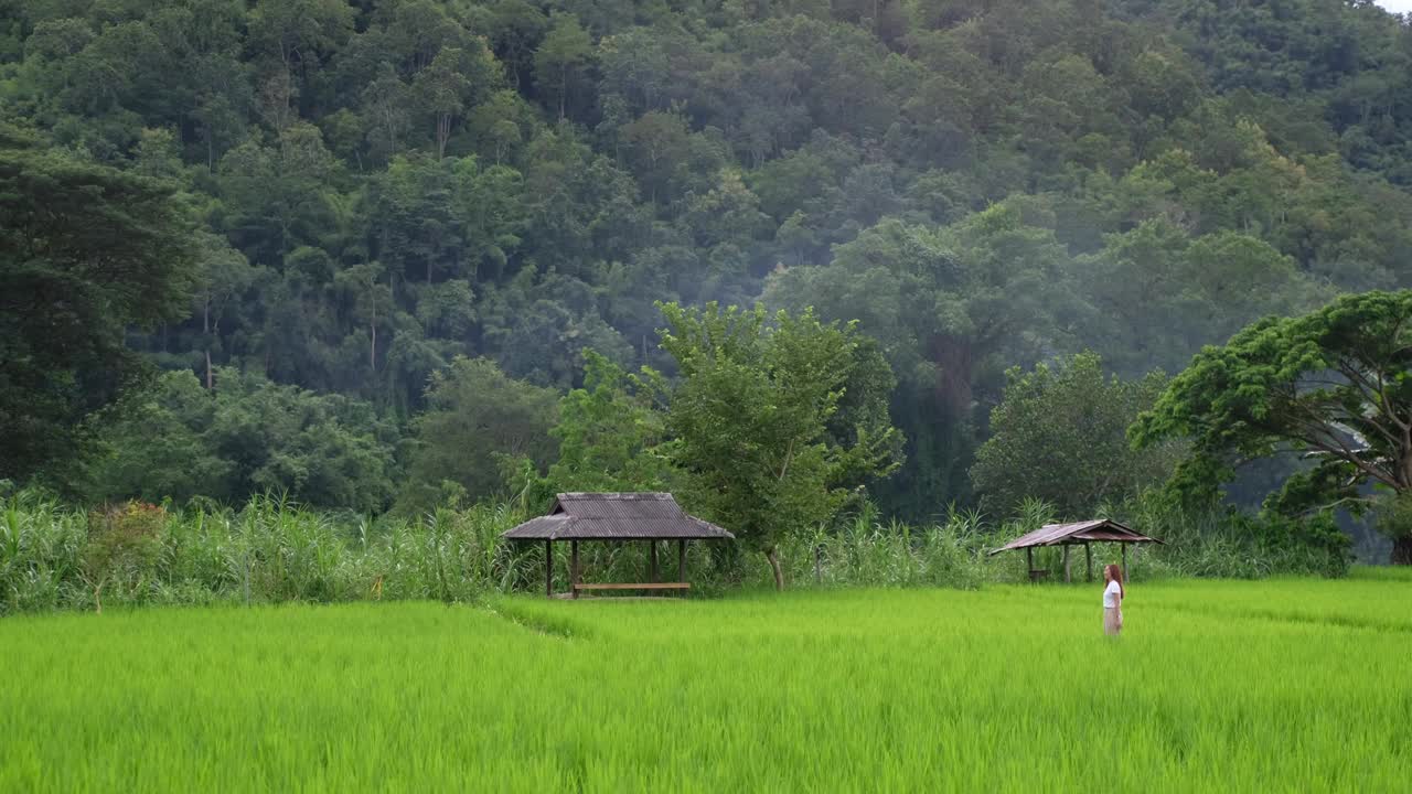 一个女人在稻田里边走边叫狗视频素材