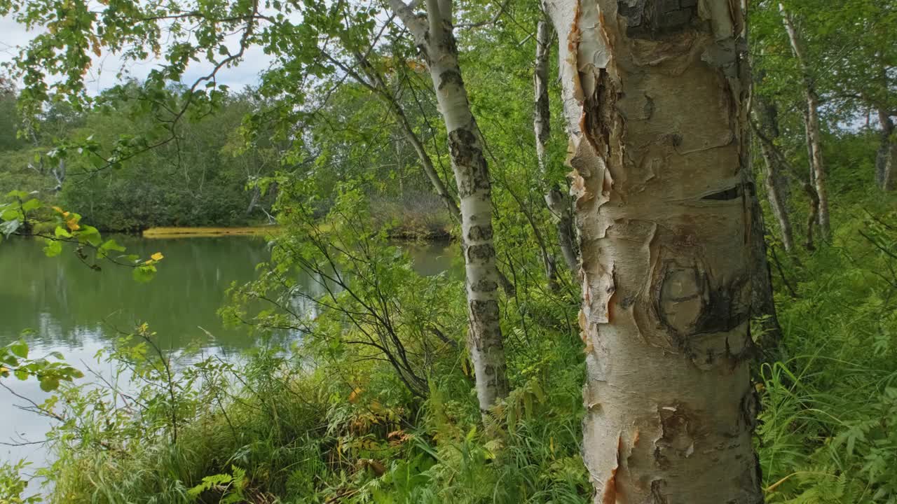 小北湖上的景观视频素材