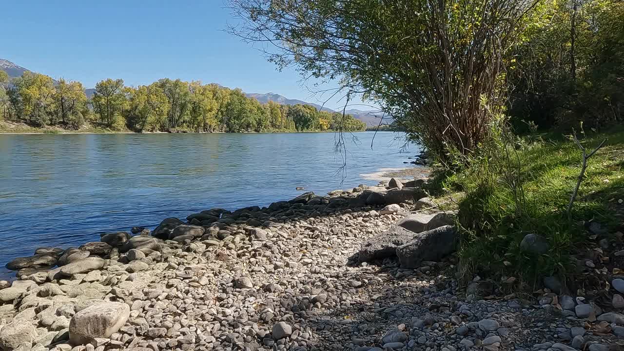 蛇河的观点从河岸移动和水下视频素材