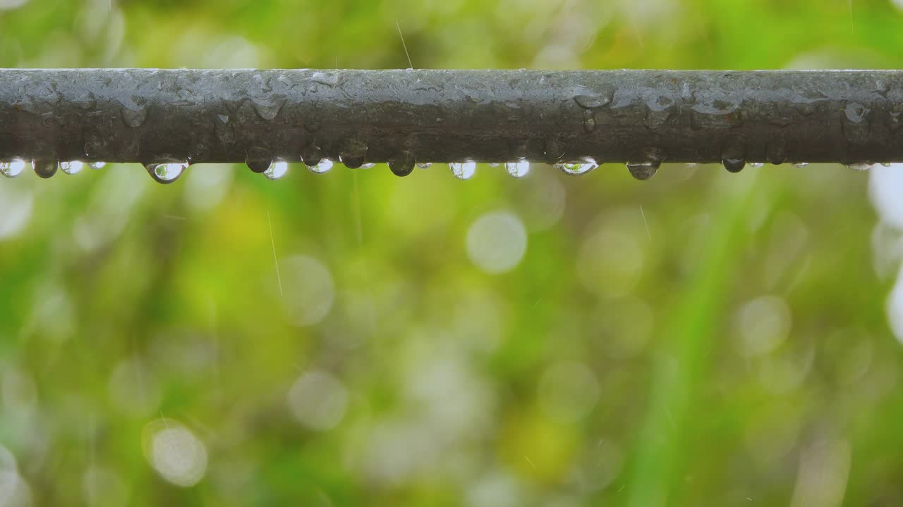 雨天。视频素材