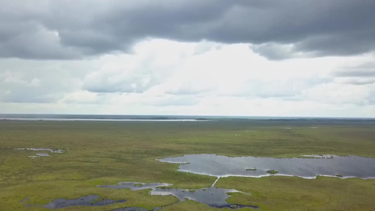 俯视图的沼泽景观。湖沼泽鸟瞰图。环境预订概念。视频素材