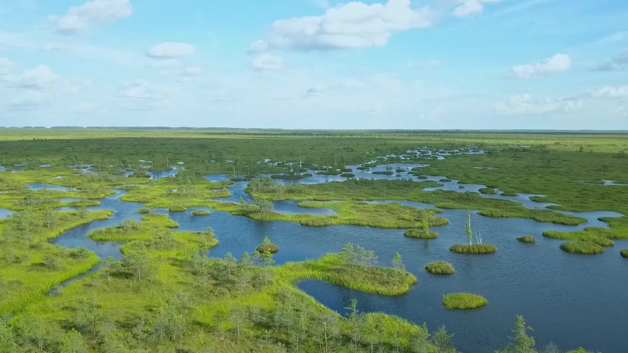 俯视图的沼泽景观。湖沼泽鸟瞰图。环境预订概念。视频素材