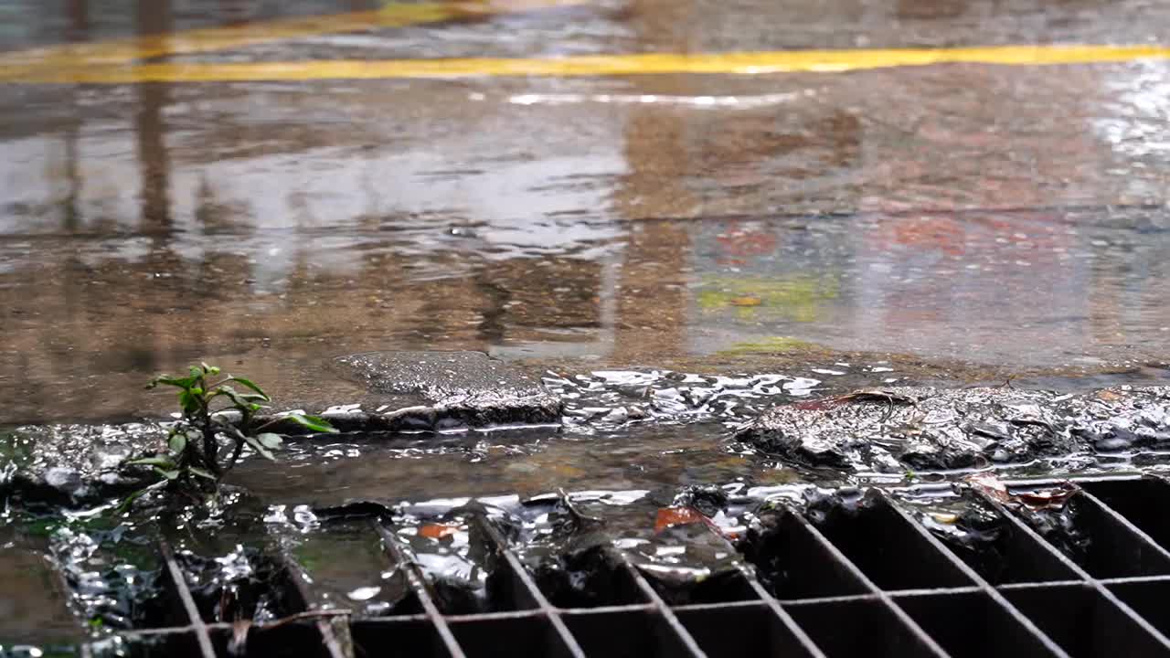 大雨后从下水道流出的水视频素材