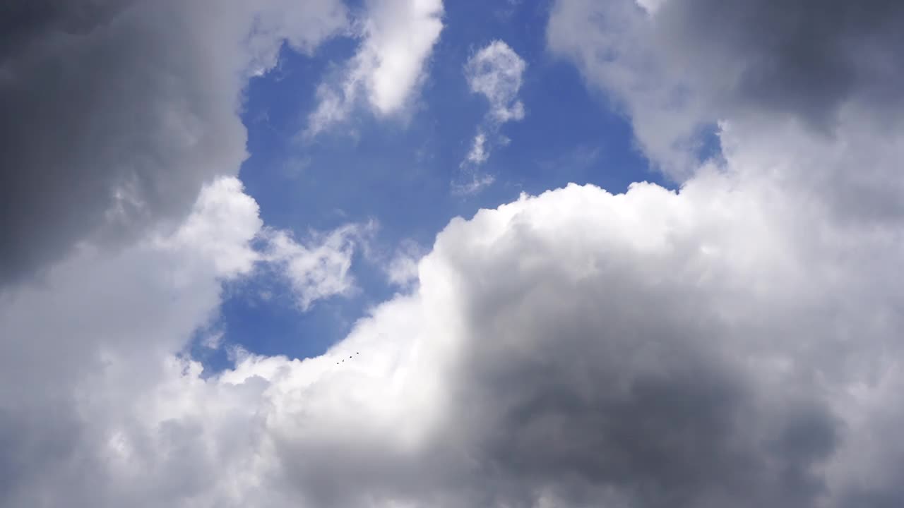 大雨后从下水道流出的水视频素材