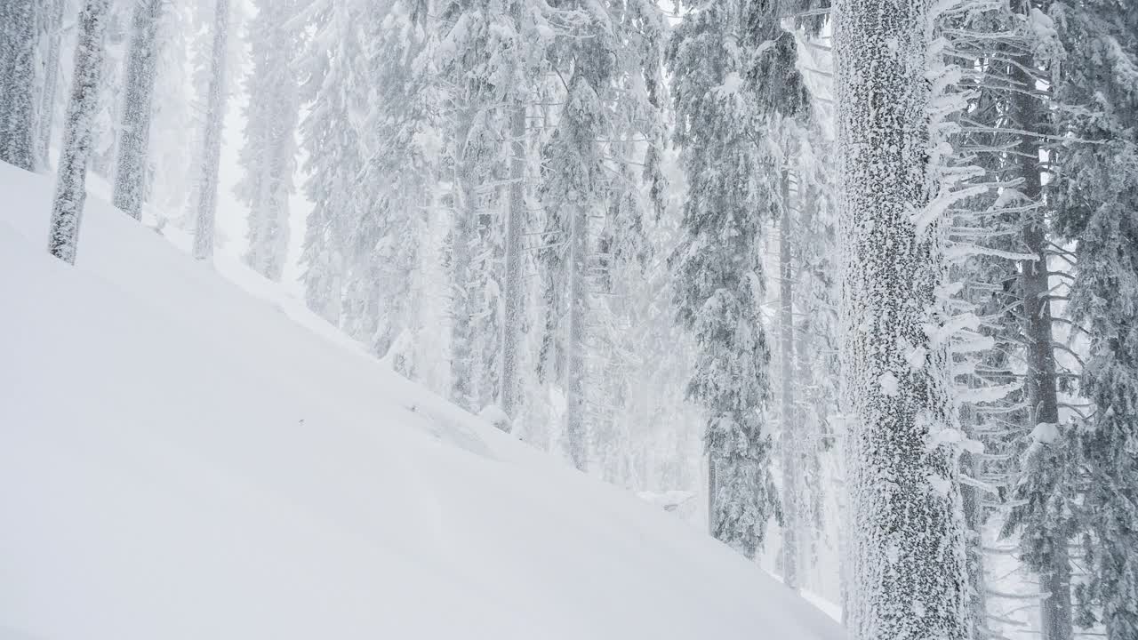 在冰雪覆盖的山林中，冬天有风的暴风雪视频素材