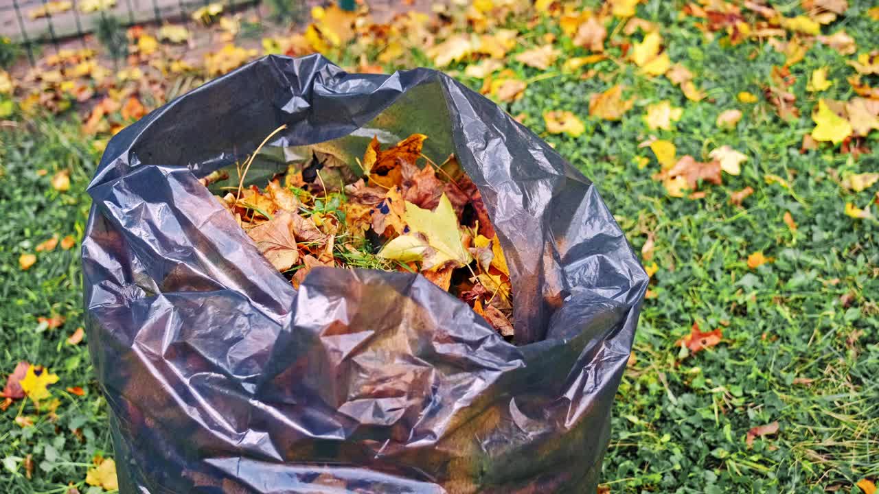 塑料袋在花园草地草地充满了枯黄的秋天树叶视频素材