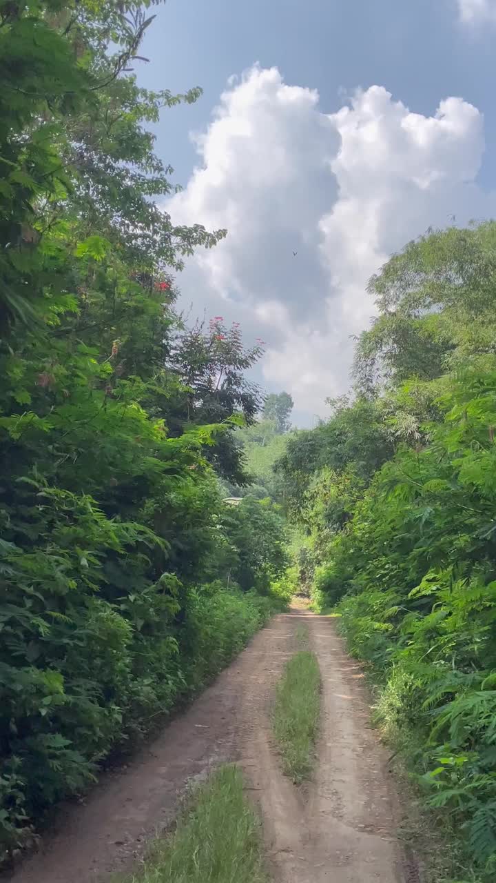 在美丽的大自然中旅行视频下载