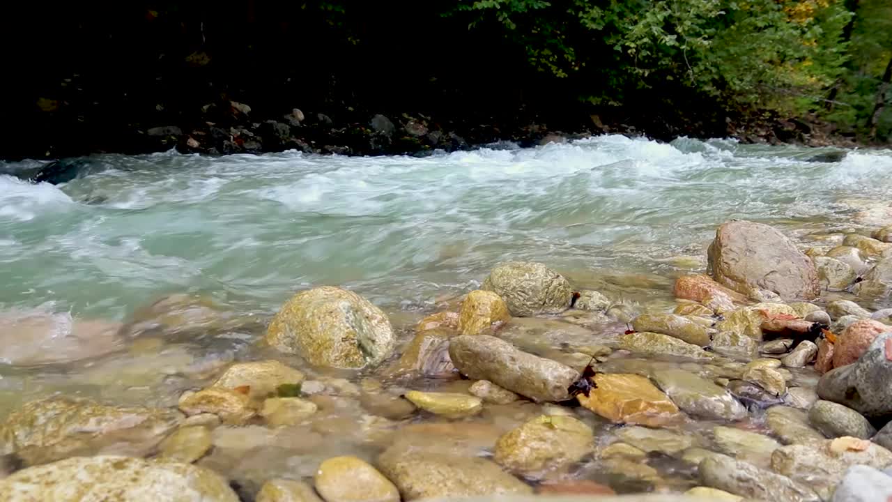 在秋天的森林里，狂野的山河流入峡谷。视频素材