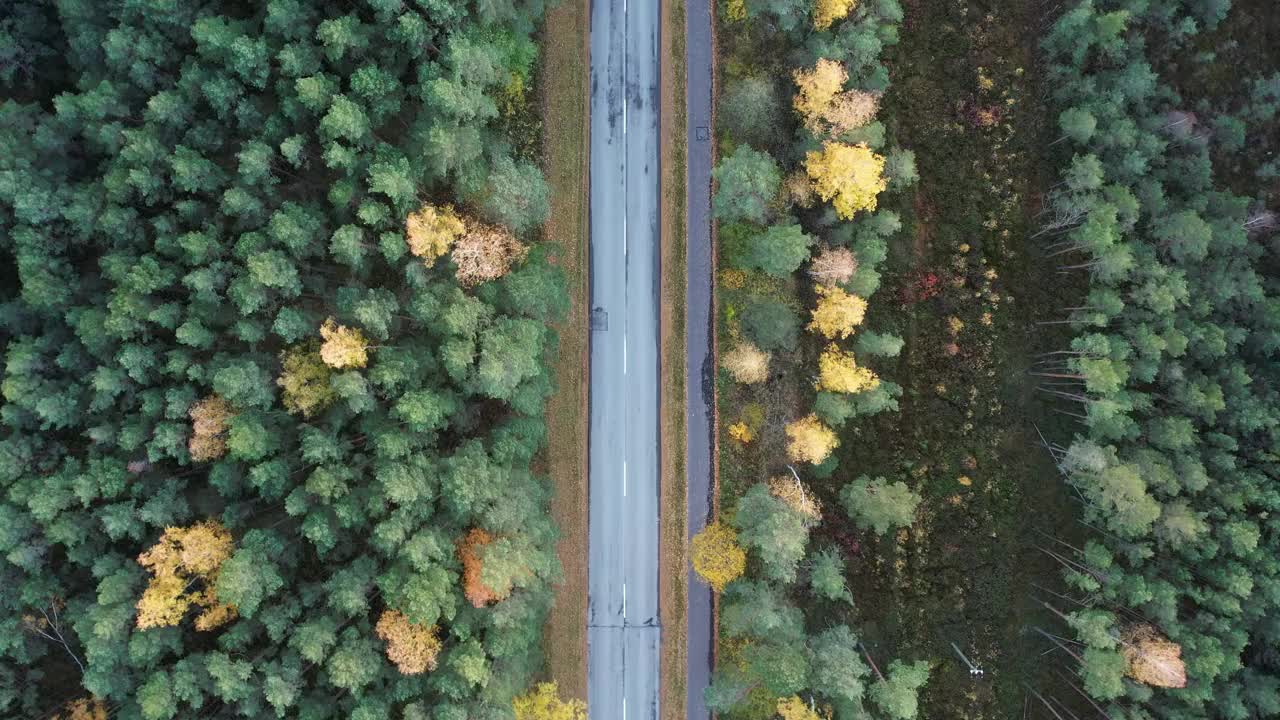 空中拍摄的日落时被秋天的森林包围的道路，在森林道路的高处，蓝色的日落天空和地平线视频素材