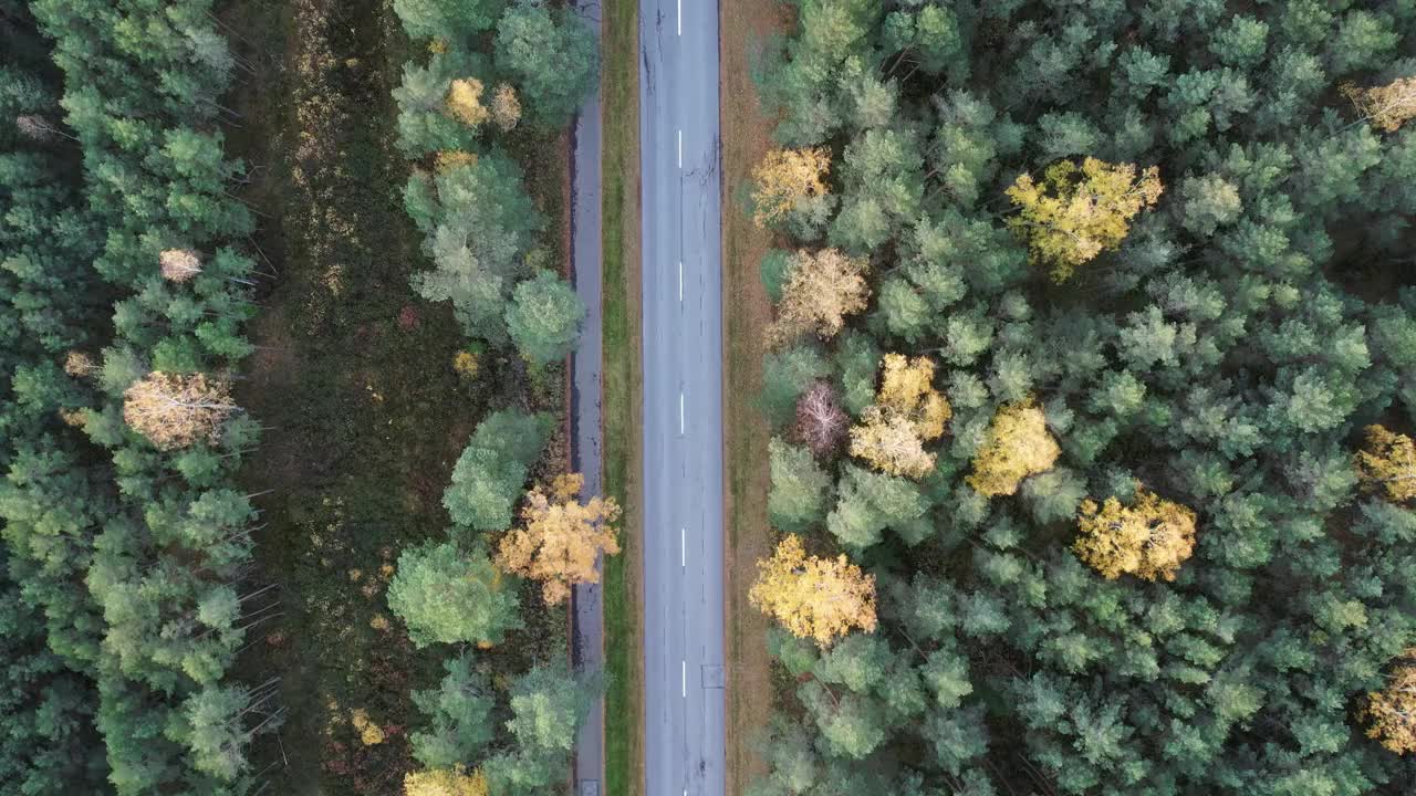 空中拍摄的日落时被秋天的森林包围的道路，在森林道路的高处，蓝色的日落天空和地平线视频素材