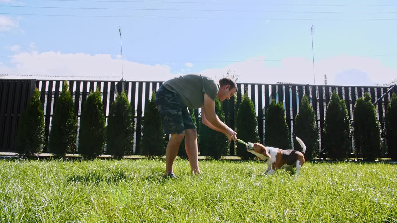 一名男子在户外和他的小猎犬玩耍，并给她的宠物吃东西。用他最喜欢的玩具逗他的小狗视频素材