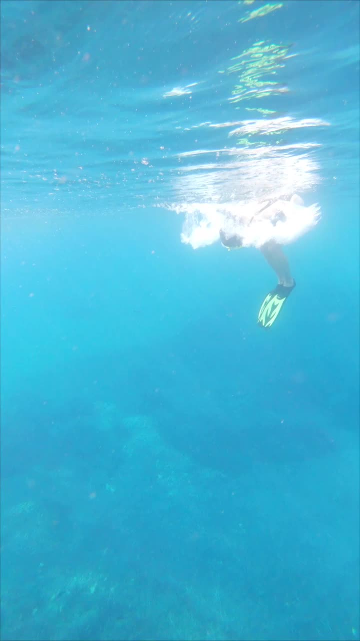 女子潜水水下清澈的蓝色海水视频素材