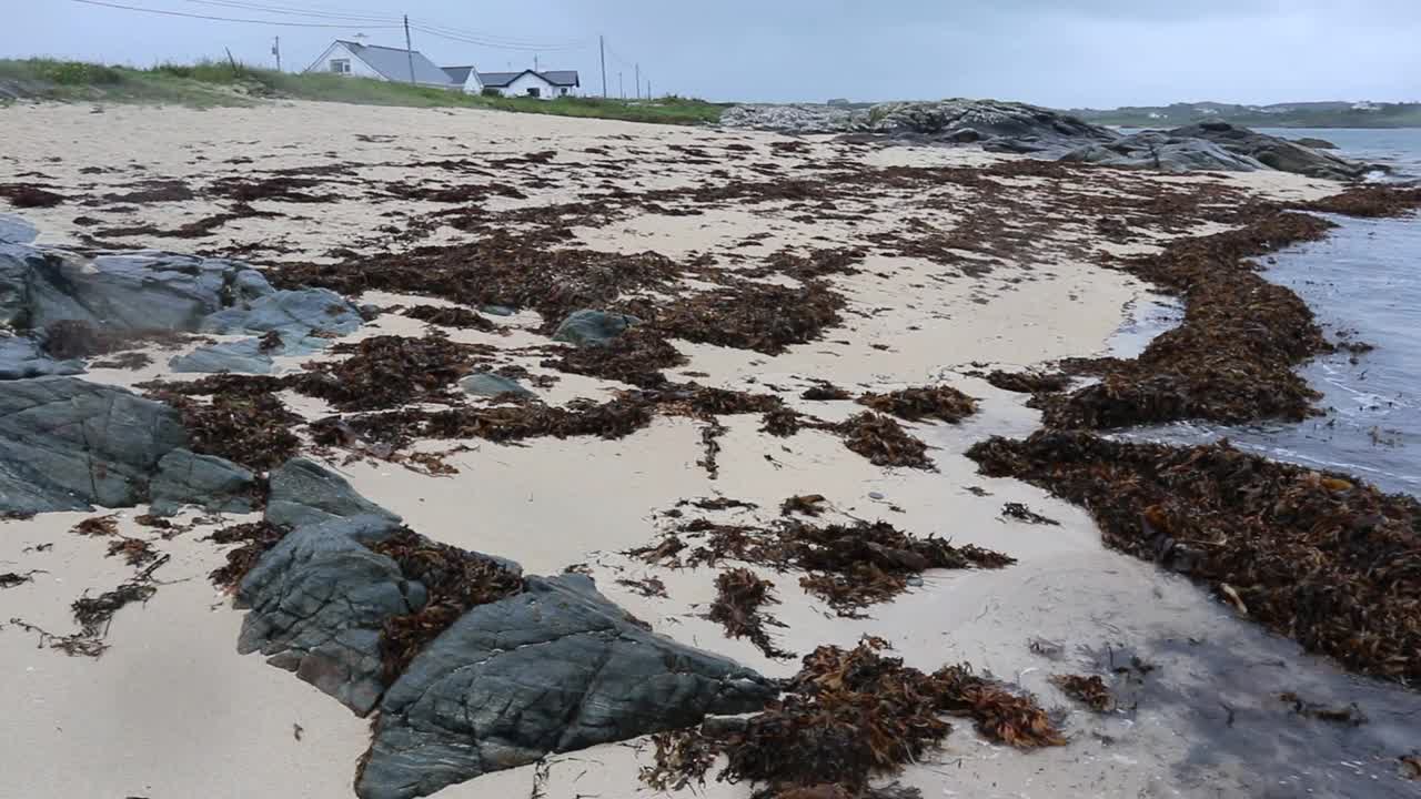 曼宁-从海岸俯瞰曼宁湾海岸视频素材