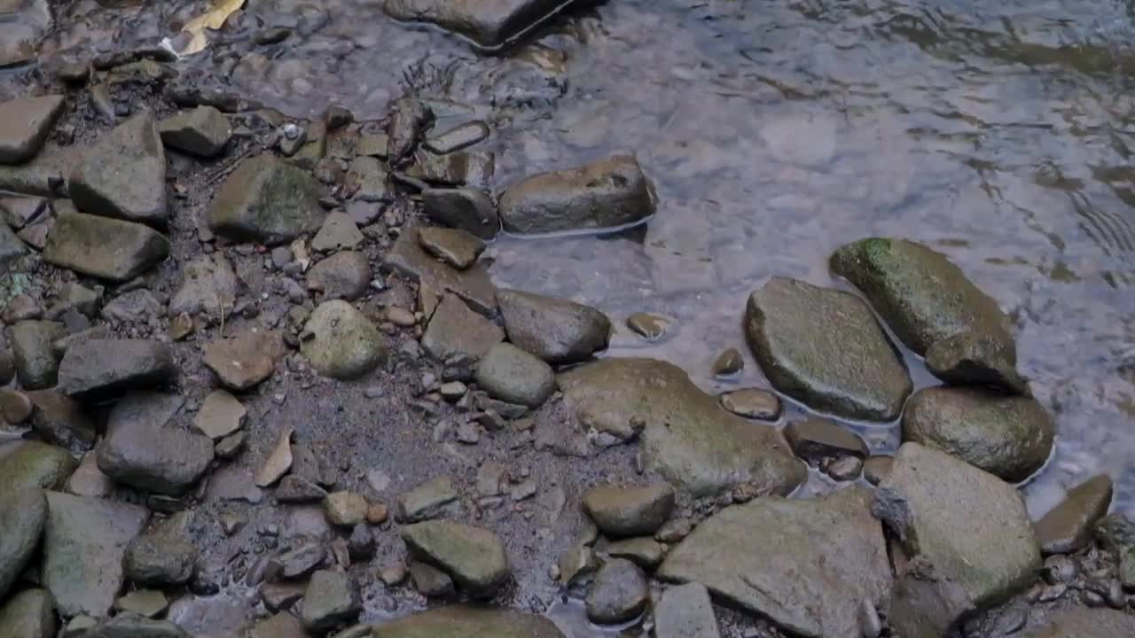 河水流动视频素材