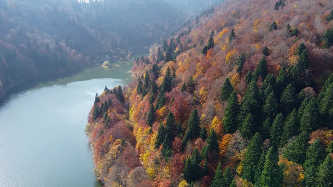 湖边的秋色视频素材