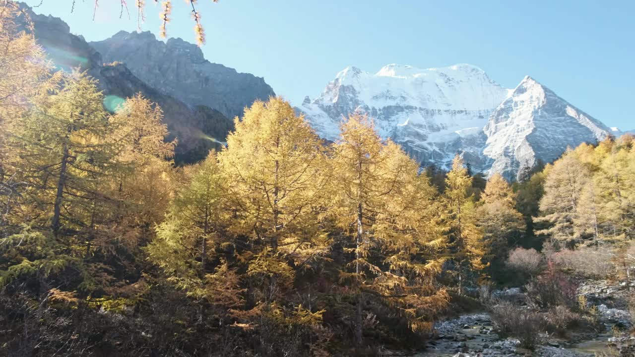 亚丁自然保护区，秋日阳光明媚，松林环绕的仙纳日圣山视频素材