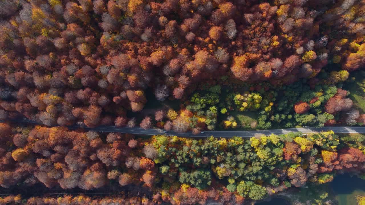 秋天的色彩和山路鸟瞰图视频素材