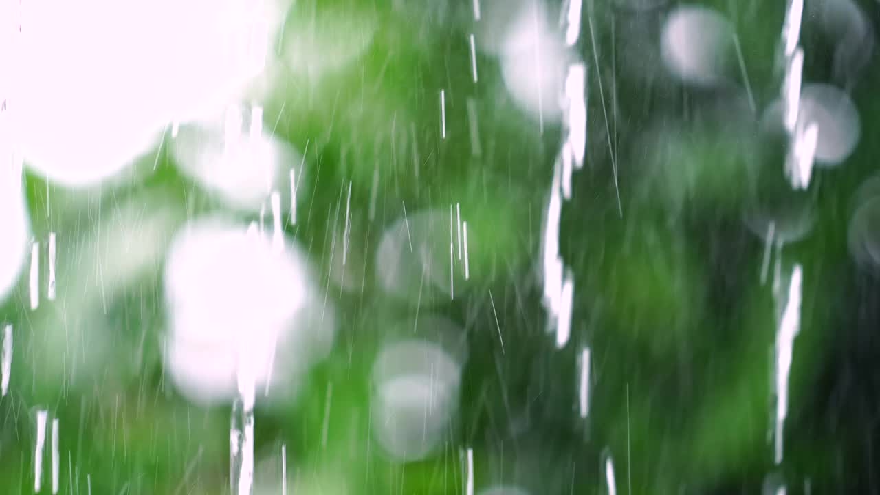 在夏日里瓢泼大雨视频素材