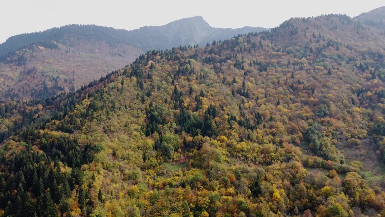 山林的秋天。森林鸟瞰图中的秋天色彩。视频素材