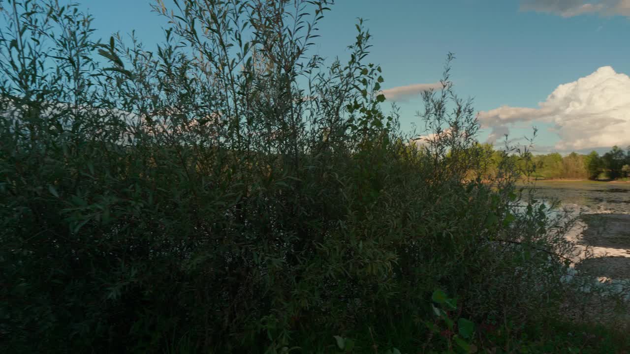 背景是美丽的湖泊和多云的天空视频素材