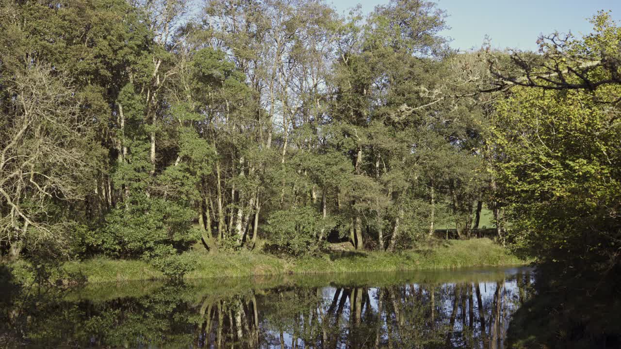 晴朗的秋日里宁静的河面景色视频素材