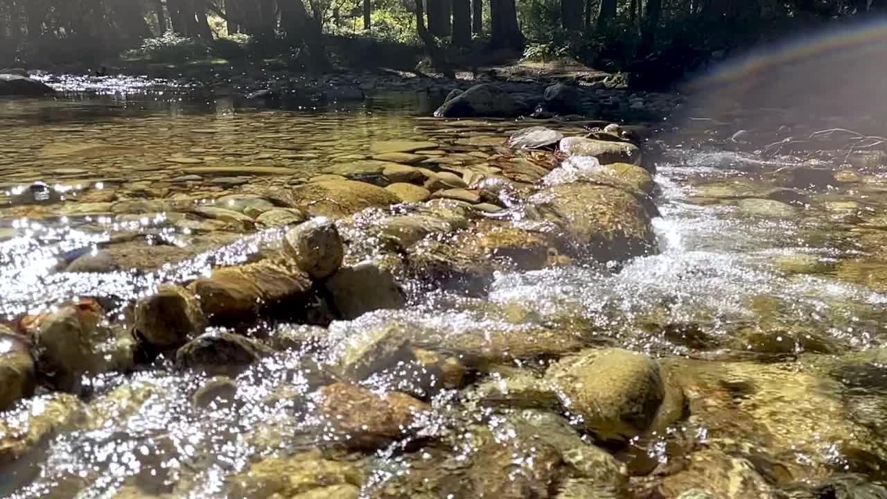 水流缓慢地从多岩石的河流中流下视频素材