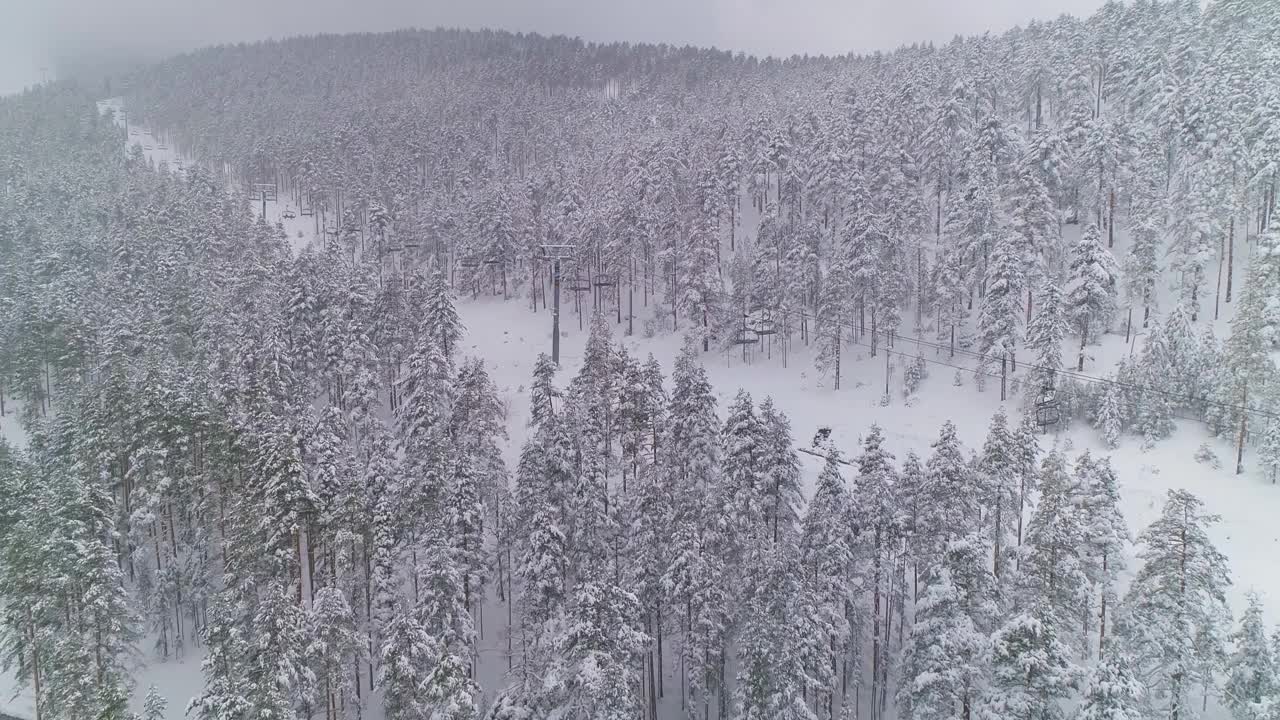 冬雪松林。缆车索道，空座。视频素材