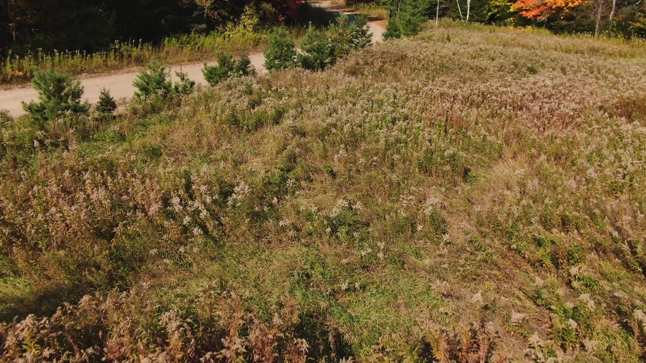 无人机视野在高高的草地上缓慢飞行，揭示了土路和彩色的树木与秋天的颜色和周围的山脉视频素材