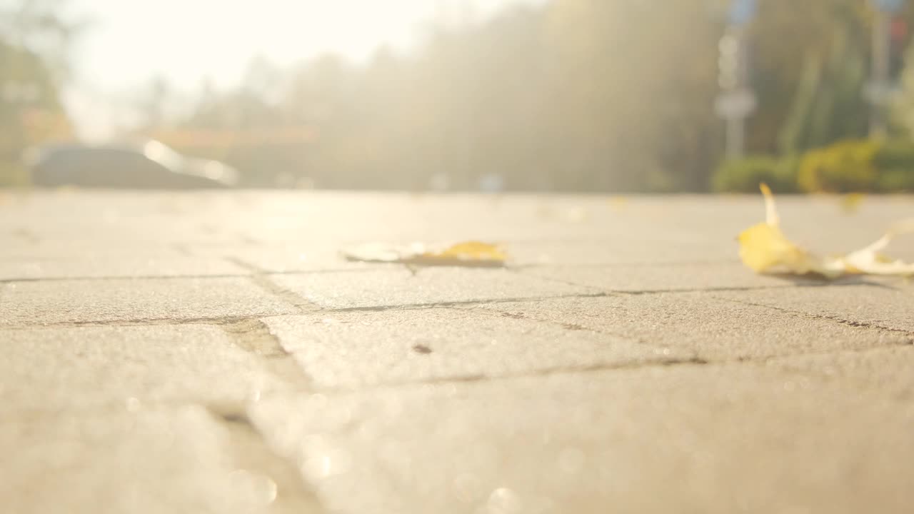 慢慢地，黄叶飘落在铺路石上。模糊的视频视频素材