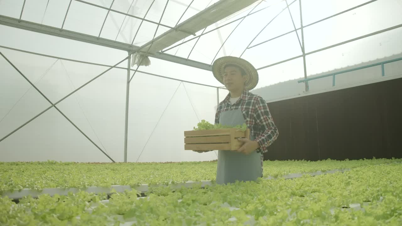 快乐的亚洲农民在温室里走着，手里拿着水培的新鲜蔬菜。工人在有机农场收获生菜、沙拉。有机食品、健康农业、水培农业经营理念。视频素材