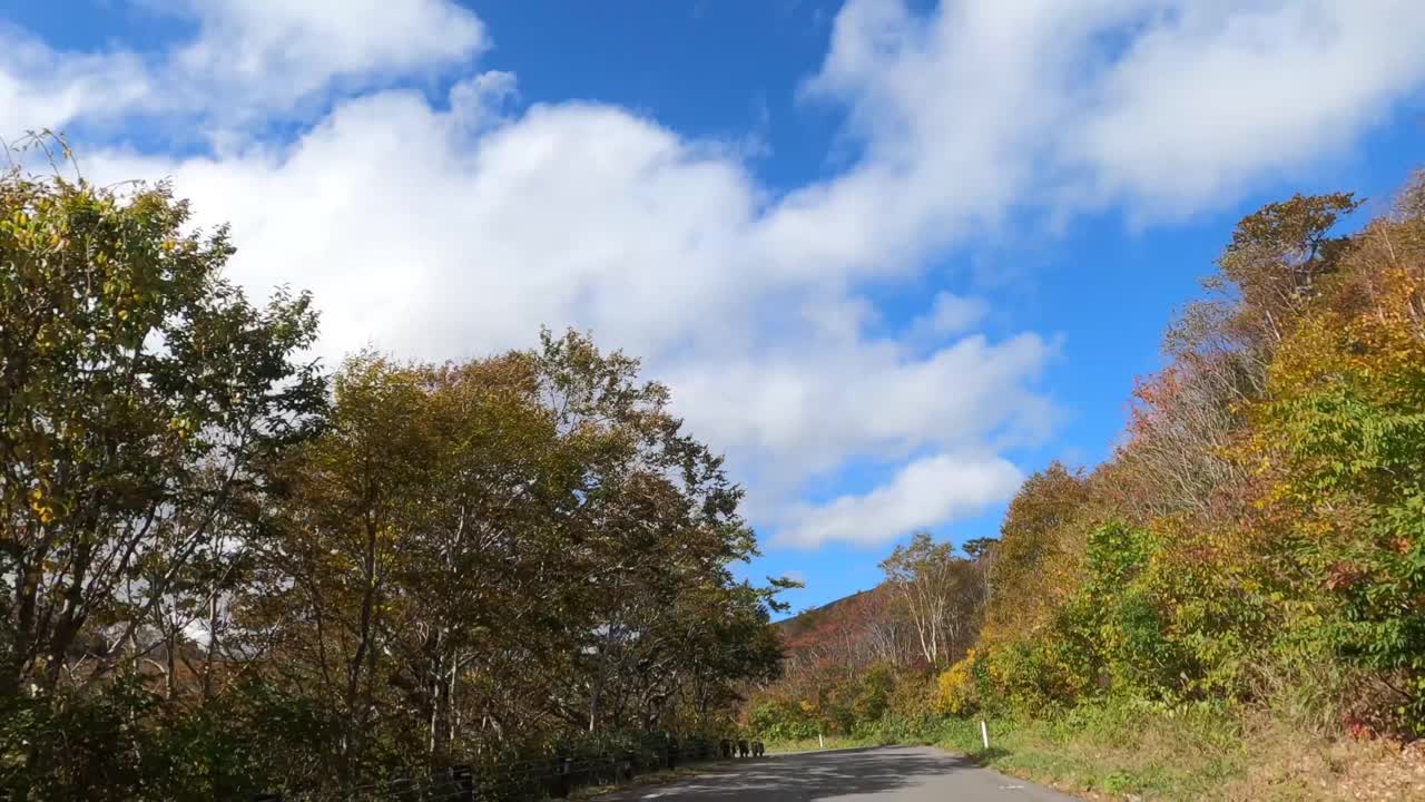 行驶在秋叶飘飘的山路上视频素材