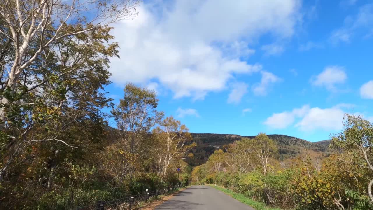 行驶在秋叶飘飘的山路上视频素材