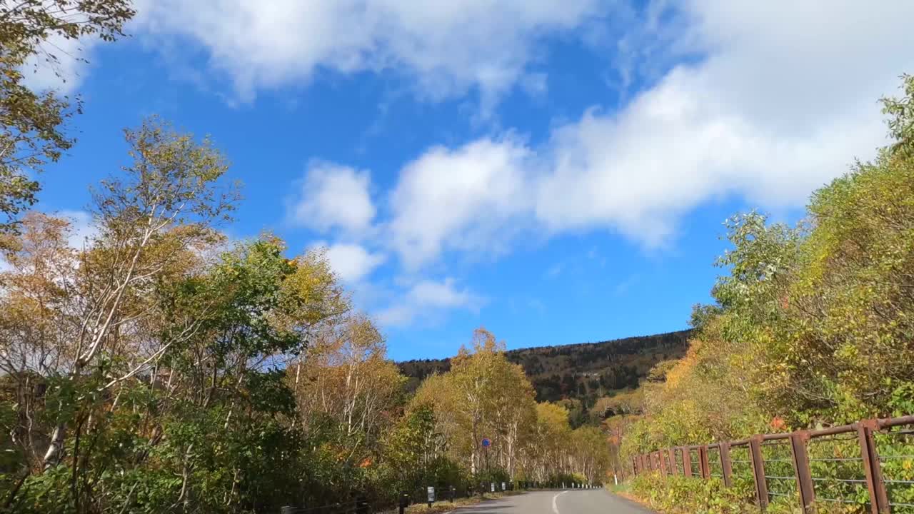 行驶在秋叶飘飘的山路上视频素材