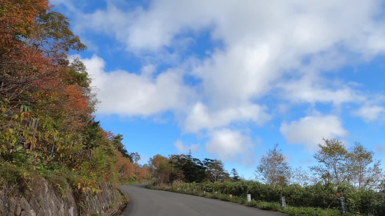 行驶在秋叶飘飘的山路上视频素材