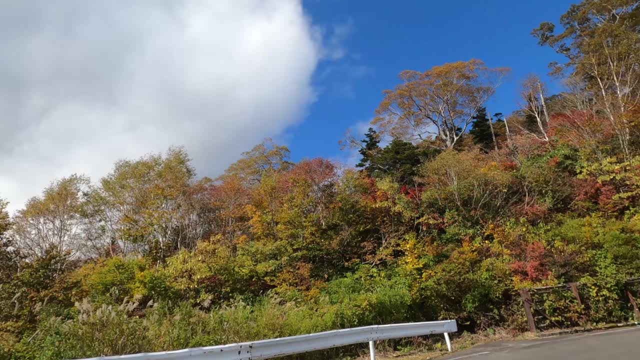 行驶在秋叶飘飘的山路上视频素材