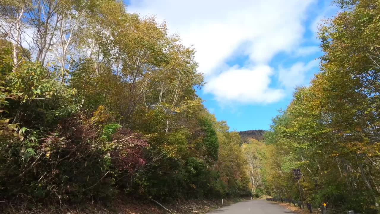 行驶在秋叶飘飘的山路上视频素材